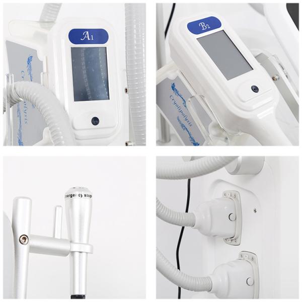 2018 Best selling products 2018 in USA  4 handles Cryolipolysis cool technology fat freezing machine Ice Shaping IV Pro