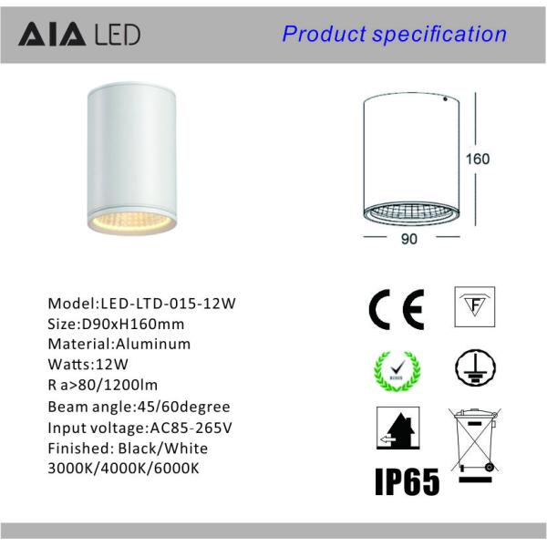 IP65 waterproof circular DALI dimmable outdoor downlight 12W 0-10V dimmable exterior down light &outside downlight