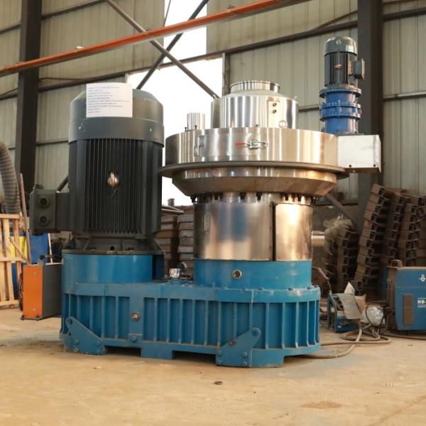 Máquina de madera del granulador de la pelotilla de la biomasa