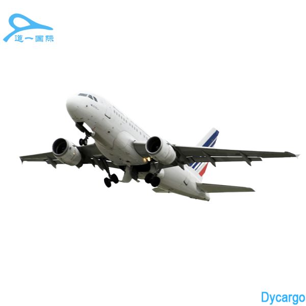 DDU CIF DAP Air Freight Forwarder China To Italy , International Shipping Agent From China