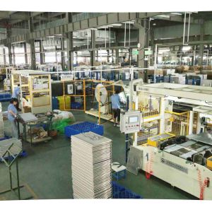 Guangdong Xin Tongshi Group Co., Ltd.