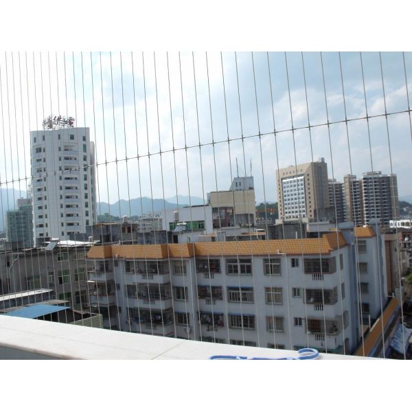 Side Cover Invisible Safety Grill Offering Wire Diameter 15mm 20mm 23mm 30mm and Vertical Horizontal Opening Direction Ensuring Safety