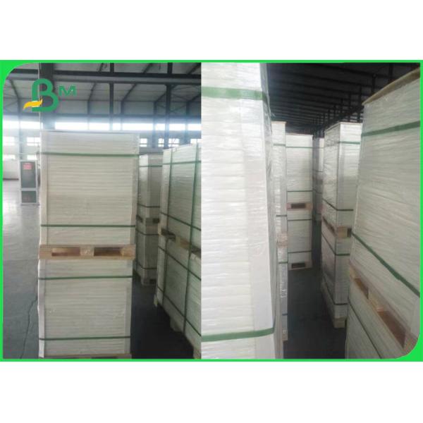 Recyclable фото - Degradable каменная бумага 100 - материал рекламы 400um