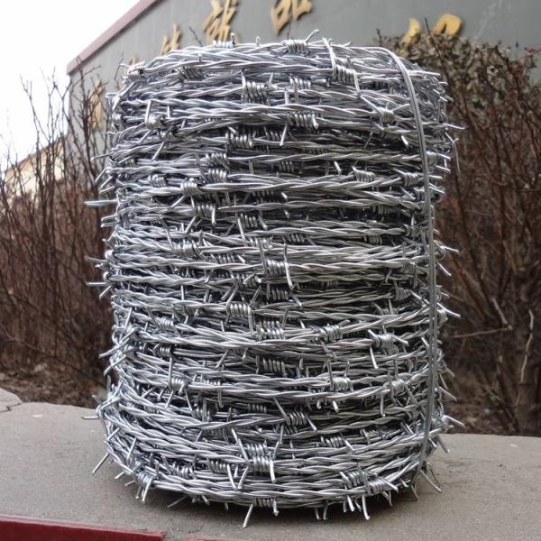 Shiny Appearance Extremely Sharp Barbed Wire Fence For Farm Forest