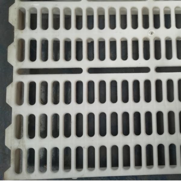 White Color Plastic Slat Flooring Plastic Goat Flooring Lightweight 60 X 60CM