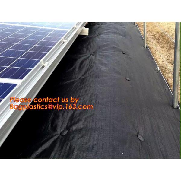 Garden tomato green house greenhouse film 3 layer eva agriculture clear plastic protective 90% transmission green house,