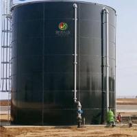 Prix domestique d'usine de biogaz de coût de centrale de biogaz