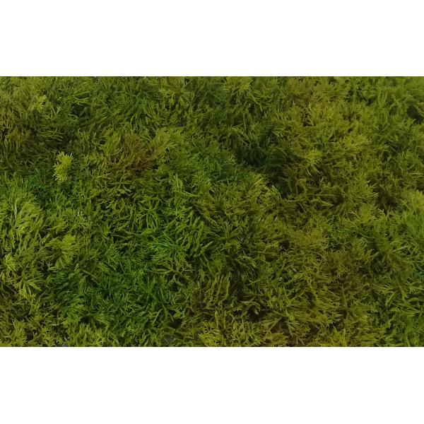 Lifelike 25X50CM Green Faux Grass For Landscape Decoration