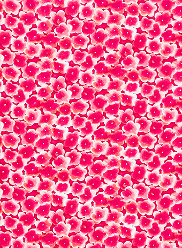 LADY FASHION FLOWER PRINTED SCARF