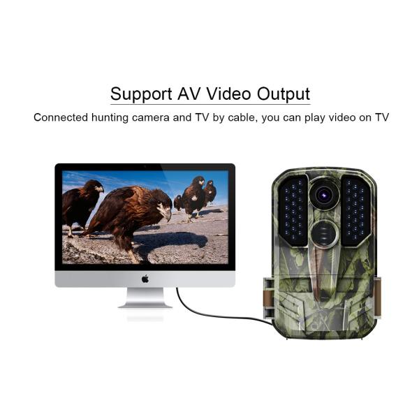 2.0 Inch TFT Wildlife Night Vision Video Camera 4K FHD 1080p Wildlife