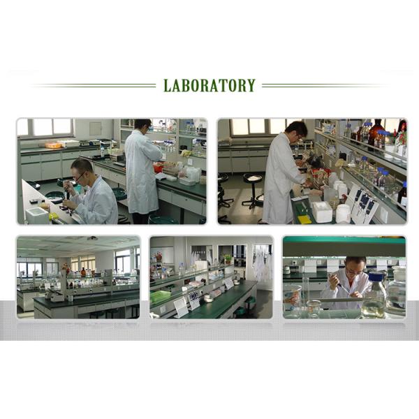 Shandong Jiuchong Chemical Co., Ltd.