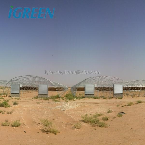 Low Cost Metal Frame Greenhouse for Vegetable Growing