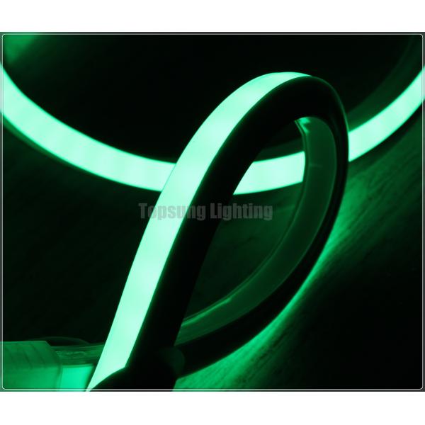 Venta total de luz de neón flexible para el hogar verde cuadrado 16*16m 220v