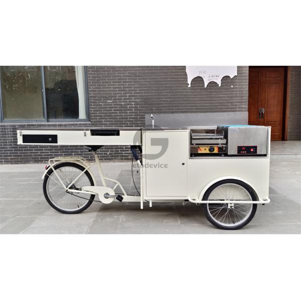 Street Food Delivery Bike with Display Freezer and Customized Snack Truck