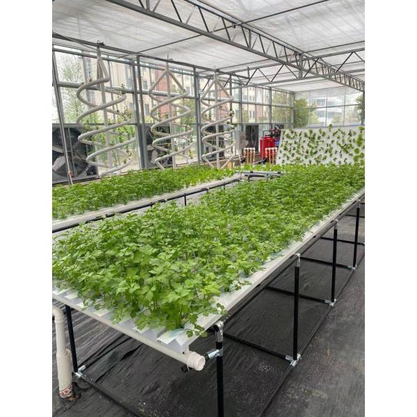 The Best Garden Vertical Hydroponics System NFT for Vegetable & Flower Growing