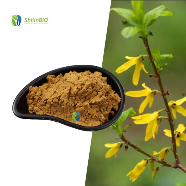 SLBIO High Quality Food Grade 10:1 20:1 Gymnema Sylvestre Leaf Extract Powder