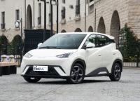 Acheter en stock Exporter Fast Ship Smart Sport Moteur automobile Puissance BYD EV Voiture mouette Pure Nouvelle énergie Nouvelle voiture à vendre