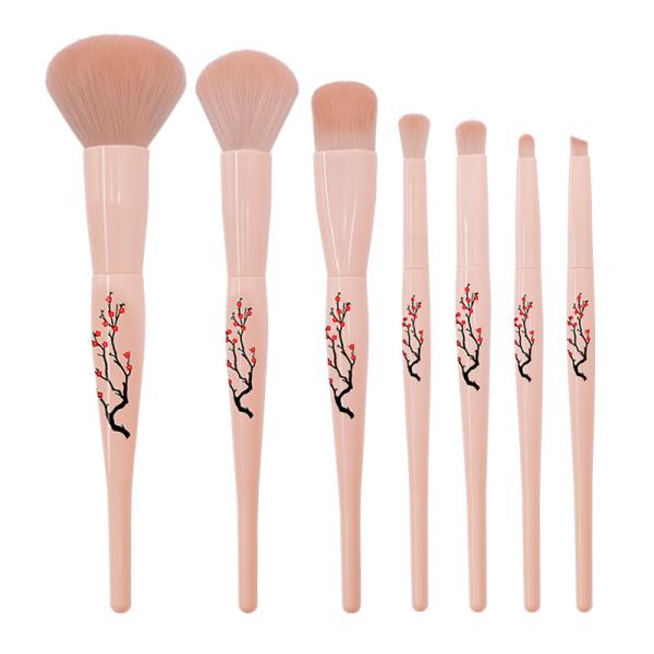 3 щетка 0.2кг макияжа ПКС цветов 5 пластиковая определяет для профессионального Беаутисиан