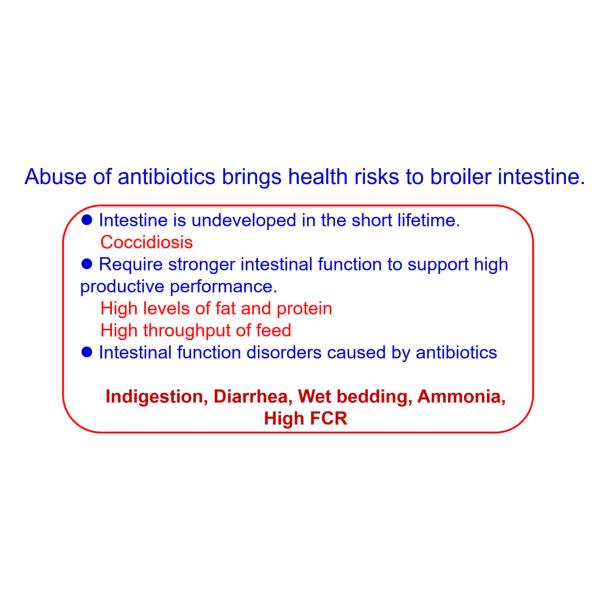 Slight Fermentation Odor Compound Probiotics For Animal Feed Grade