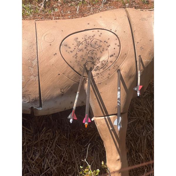 3d цель, крытый Archery, легковес 19/64