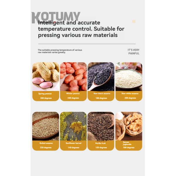 High Quality Oil Press Machine Home Automatic Palm Kernel Oil Oil Extracto