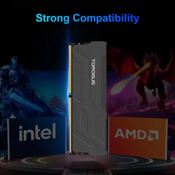TOROSUS H42 DDR4 Memory Heat Sink Series