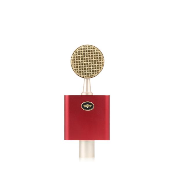 797Audio D501 USB Recording Condenser Microphone