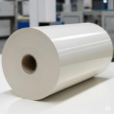 Rollo de papel recubierto de PLA resistente a altas temperaturas para soluciones de envasado de alimentos