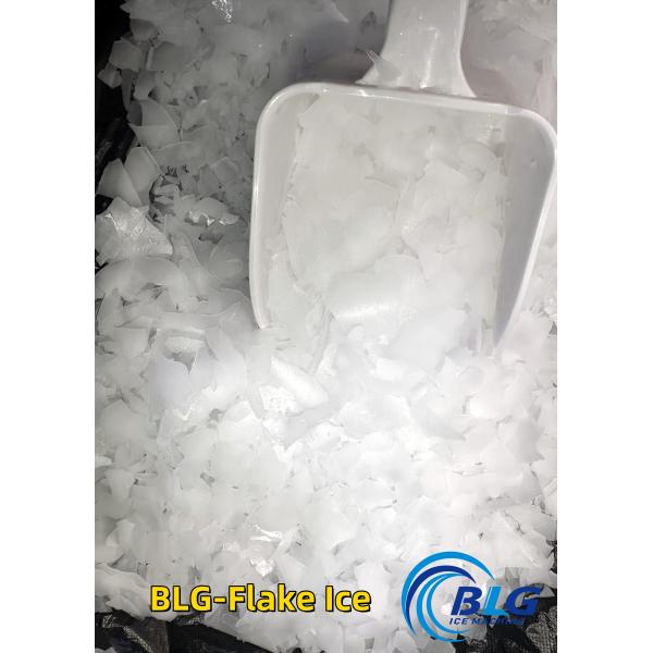 BLG Best Stainless Steel Air-cooled 1ton 380V Automatic Commercial Bar Flake Ice Machine for Marine Fishing Boat Use