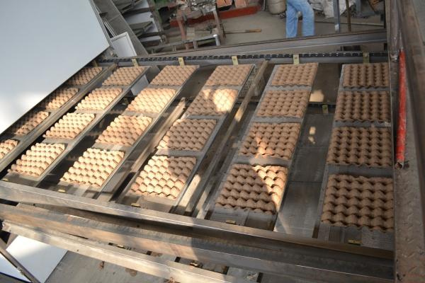 Caixa reciclada do ovo da papelada que faz a operação fácil do de alta capacidade da máquina