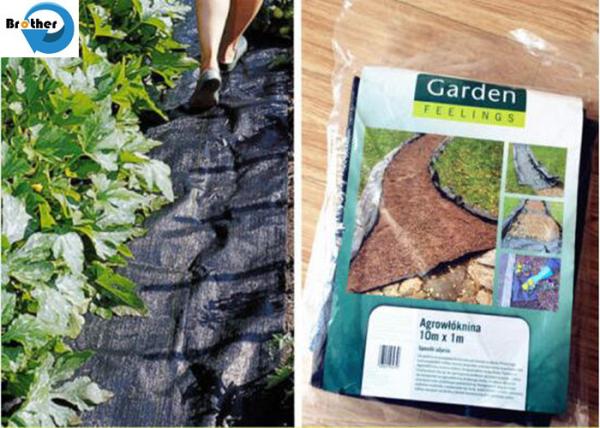 PP/PE Ground Cover Weed Control Barrier Mat, Woven Weed Cloth Weed Fabric New Material or Reycled Material, Geotextile