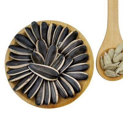 High-quality raw materials for large sunflower seeds exported to turkey Amazon’s best-selling products