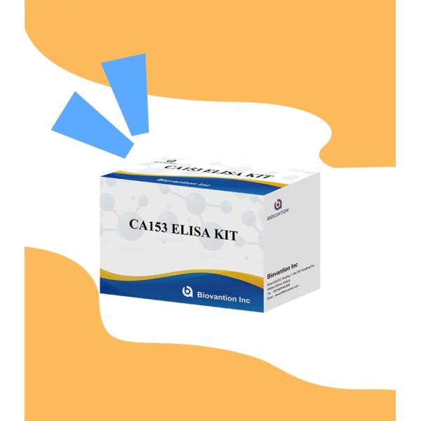 Sensitivity 1 Hour Rapid Elisa Kit For Human Use Serum Plasma Sample Detection