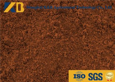 Brown Color Dried Fish Powder 65% Protein Content With Long Expiry Date
