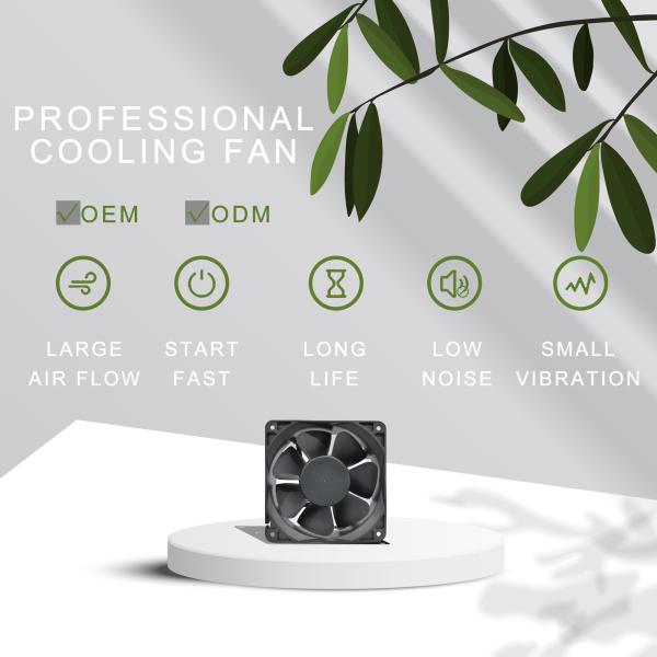 OEM ODM RGD12038 DC Axial Cooling Fan Electric DC Brushless Motor