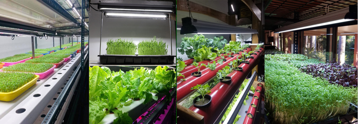 СИД RedFarm 45w 2.5ft растет замена Samsung T5 T8 света прокладки