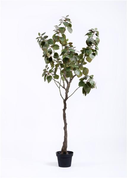 Árvores decorativas artificiais 6 Ft à moda de Granatum do Punica para o estilo de vida moderno Harried