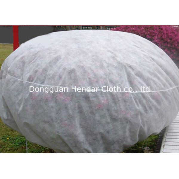 Biodegradable PP Spunbond Non Woven Fabric For Gardening