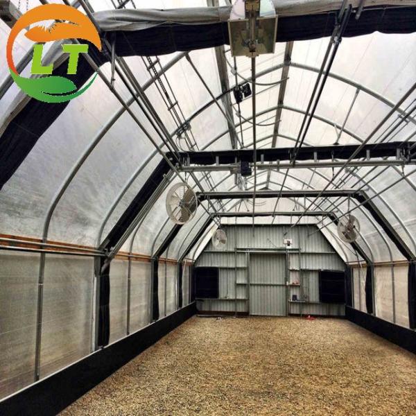 Film Covered Mushroom Cultured Greenhouse for Mushroom Cultivation and Easy Assembly