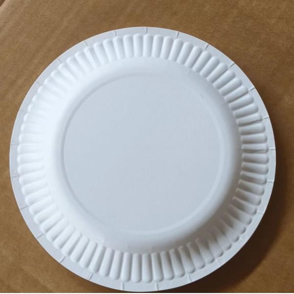 Eco-Friendly Biodegradable Paper Pulp Food Plate Paper Food Containers Customization