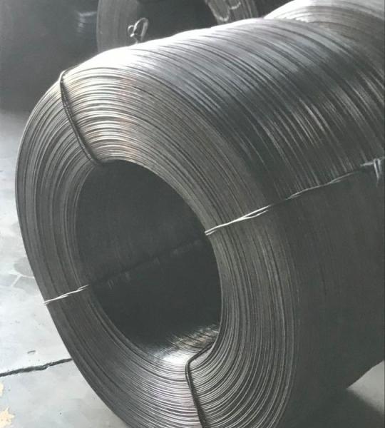 certificado de aço inoxidável de Rod Coil High Tensile Strength TUV do fio de 5.5mm