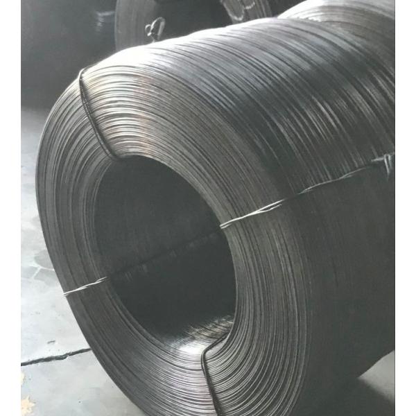 сертификат TUV прочности на растяжение катушки заготовки для проволоки нержавеющей стали 5.5mm высокий