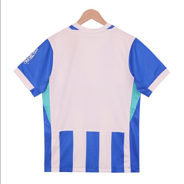 Brighton 2025-2026 Home Fan Jersey - Customizable Unisex Polyester