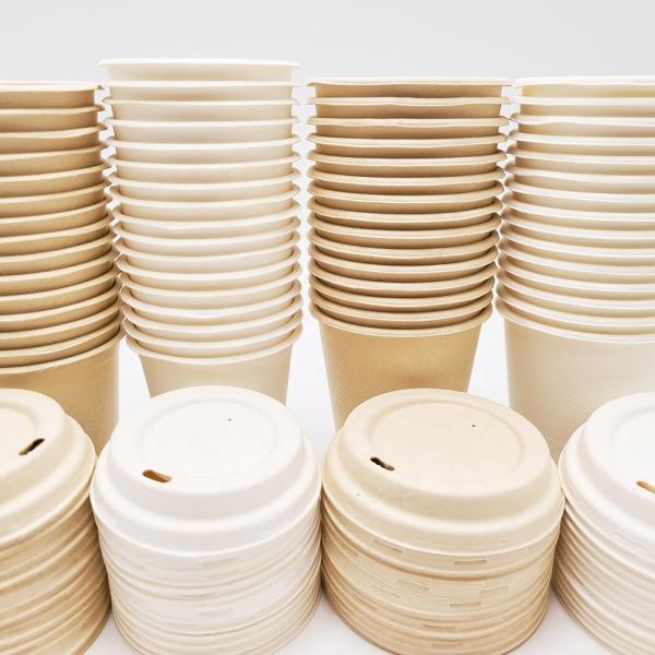 100% Compostable Disposable Paper Containers