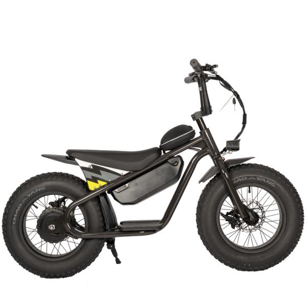 Range per Power 60 km 48V 500W Surron Off Road Electric Motorcycle for Children