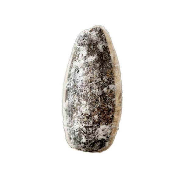 Amazon’s best-selling products China factory wholesale accepts custom packaged sea salt flavored roasted sunflower seeds