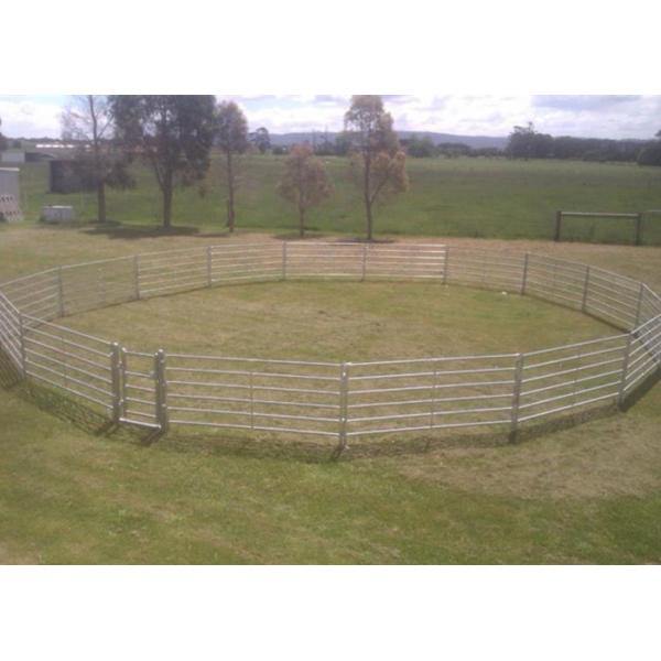 Hot Galvanized Heavy Duty Cattle Panels Horse Fence Panels With 1.8m H X 2.1m L 6 Rails