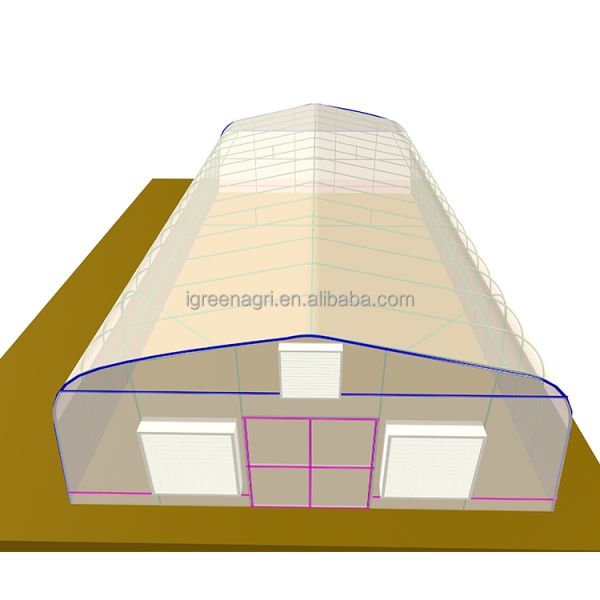 Durable Poly Small Agricultural Greenhouse Tunnel Roses Professional Flower Growing UV-Resistant PE Film Cover Ventilation