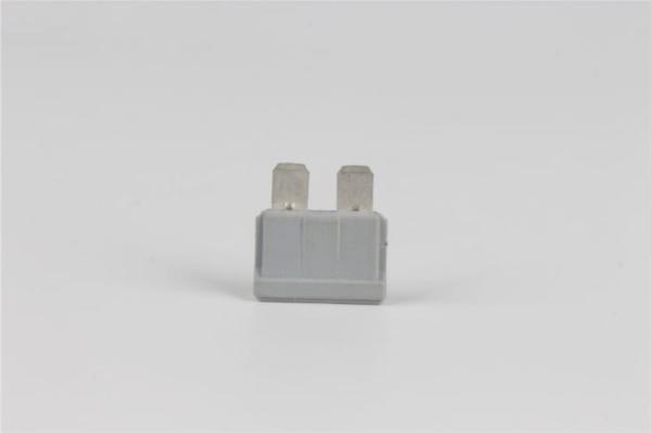 125VAC Electric Vehicle Fuses , Fast Acting 40 Amp Dc Fuse Electric Wood Shell