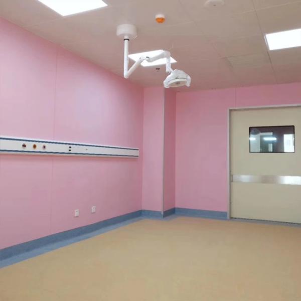 Mgo Rock Wool Machine Made Cleanroom Sandwich Panel , Hospital Sandwich Wall Panel
